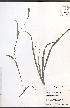  ( - JRM280)  @11 [ ] CreativeCommons - Attribution  Unspecified Centre for Biodiversity Genomics