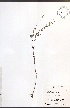  ( - JRM291)  @11 [ ] CreativeCommons - Attribution  Unspecified Centre for Biodiversity Genomics