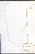  ( - JRM319)  @11 [ ] CreativeCommons - Attribution  Unspecified Centre for Biodiversity Genomics