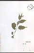  ( - NTW841)  @11 [ ] CreativeCommons - Attribution  Unspecified Centre for Biodiversity Genomics