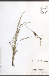  ( - NTW885)  @11 [ ] CreativeCommons - Attribution  Unspecified Centre for Biodiversity Genomics