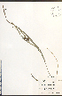  ( - NTW977)  @11 [ ] CreativeCommons - Attribution  Unspecified Centre for Biodiversity Genomics
