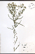  ( - TAH180)  @11 [ ] CreativeCommons - Attribution  Unspecified Centre for Biodiversity Genomics