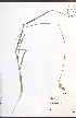  ( - TAH184)  @11 [ ] CreativeCommons - Attribution  Unspecified Centre for Biodiversity Genomics