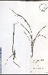  ( - TAH188)  @11 [ ] CreativeCommons - Attribution  Unspecified Centre for Biodiversity Genomics