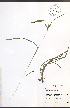  ( - TAH248)  @11 [ ] CreativeCommons - Attribution  Unspecified Centre for Biodiversity Genomics