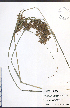  ( - TAH261)  @11 [ ] CreativeCommons - Attribution  Unspecified Centre for Biodiversity Genomics