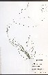  ( - TAH319)  @11 [ ] CreativeCommons - Attribution  Unspecified Centre for Biodiversity Genomics