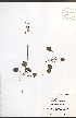  ( - TAH334)  @11 [ ] CreativeCommons - Attribution  Unspecified Centre for Biodiversity Genomics