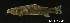  ( - LBPV-20416)  @13 [ ] Unspecified (default): All Rights Reserved  Unspecified Unspecified
