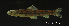 ( - LBPV-20418)  @13 [ ] Unspecified (default): All Rights Reserved  Unspecified Unspecified