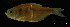  ( - LBPV-28465)  @13 [ ] Unspecified (default): All Rights Reserved  Unspecified Unspecified
