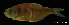  ( - LBPV-28466)  @12 [ ] Unspecified (default): All Rights Reserved  Unspecified Unspecified