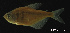  ( - LBPV-28467)  @13 [ ] Unspecified (default): All Rights Reserved  Unspecified Unspecified