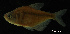  ( - LBPV-28468)  @11 [ ] Unspecified (default): All Rights Reserved  Unspecified Unspecified