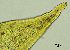  ( - REU029728)  @11 [ ] CC-BY-NC-SA (2024) Unspecified PVBMT Research Unit, University of Reunion, CIRAD