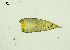  ( - REU029728)  @11 [ ] CC-BY-NC-SA (2024) Unspecified PVBMT Research Unit, University of Reunion, CIRAD