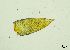  ( - REU029728)  @11 [ ] CC-BY-NC-SA (2024) Unspecified PVBMT Research Unit, University of Reunion, CIRAD