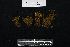  ( - REU029679)  @11 [ ] CC-BY-NC-SA (2024) Unspecified PVBMT Research Unit, University of Reunion, CIRAD
