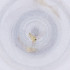  ( - MOZZ00000910A_C2)  @11 [ ] by  Genome Research Ltd as Wellcome Sanger Institute Genome Research Limited operating as Wellcome Sanger Institute