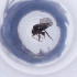  ( - MOZZ00000912A_A2)  @11 [ ] by  Genome Research Ltd as Wellcome Sanger Institute Genome Research Limited operating as Wellcome Sanger Institute