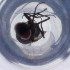  ( - MOZZ00000914A_B2)  @11 [ ] by  Genome Research Ltd as Wellcome Sanger Institute Genome Research Limited operating as Wellcome Sanger Institute