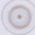  ( - MOZZ00000917A_C7)  @11 [ ] by  Genome Research Ltd as Wellcome Sanger Institute Genome Research Limited operating as Wellcome Sanger Institute