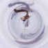  ( - MOZZ00000920A_B7)  @11 [ ] by  Genome Research Ltd as Wellcome Sanger Institute Genome Research Limited operating as Wellcome Sanger Institute