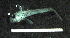  ( - sample_freu0f7)  @12 [ ] No Rights Reserved (2013) Herwig Waidbacher BOKU Vienna, Department of Water-Atmosphere-Environment