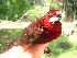  ( - GUY0029-EP)  @11 [ ] Unspecified (default): All Rights Reserved  No Rights Reserved Unspecified