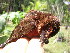  ( - GUY0030-EP)  @11 [ ] Unspecified (default): All Rights Reserved  No Rights Reserved Unspecified