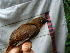  ( - GUY0057-EP)  @13 [ ] Unspecified (default): All Rights Reserved  No Rights Reserved Unspecified