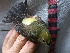  ( - GUY0077-EP)  @14 [ ] Unspecified (default): All Rights Reserved  No Rights Reserved Unspecified