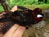  ( - GUY0098-EP)  @14 [ ] Unspecified (default): All Rights Reserved  No Rights Reserved Unspecified