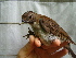  ( - GUY0111-EP)  @14 [ ] Unspecified (default): All Rights Reserved  No Rights Reserved Unspecified