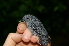  ( - GUY0151-EP)  @11 [ ] Unspecified (default): All Rights Reserved  No Rights Reserved Unspecified