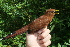  ( - GUY0587-EP)  @11 [ ] Unspecified (default): All Rights Reserved  No Rights Reserved Unspecified