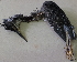  ( - GUY0717-EP)  @11 [ ] Unspecified (default): All Rights Reserved  No Rights Reserved Unspecified