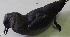  ( - GUY0725-EP)  @11 [ ] Unspecified (default): All Rights Reserved  No Rights Reserved Unspecified