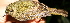  ( - GUY0758-EP)  @11 [ ] Unspecified (default): All Rights Reserved  No Rights Reserved Unspecified
