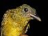  ( - GUY0780-EP)  @13 [ ] Unspecified (default): All Rights Reserved  No Rights Reserved Unspecified