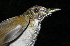  ( - GUY0781-EP)  @13 [ ] Unspecified (default): All Rights Reserved  No Rights Reserved Unspecified