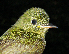  ( - GUY0789-EP)  @13 [ ] Unspecified (default): All Rights Reserved  No Rights Reserved Unspecified