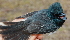  ( - NC071-EP)  @14 [ ] Unspecified (default): All Rights Reserved  No Rights Reserved Unspecified