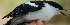  ( - NC073-EP)  @13 [ ] Unspecified (default): All Rights Reserved  No Rights Reserved Unspecified