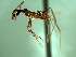  ( - CISEC0004555)  @12 [ ] CreativeCommons - Attribution (2016) David A. Donoso Universidad de Cuenca