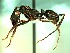  ( - CISEC0005084)  @12 [ ] CreativeCommons - Attribution (2016) David A. Donoso Universidad de Cuenca