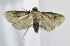  ( - USNM ENT 00720295)  @12 [ ] Unspecified (default): All Rights Reserved  Unspecified Unspecified