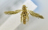  ( - USNM ENT 00720339)  @13 [ ] Unspecified (default): All Rights Reserved  Unspecified Unspecified
