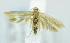  ( - USNM ENT 00720594)  @12 [ ] Unspecified (default): All Rights Reserved  Unspecified Unspecified